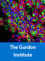 The Gurdon Institute