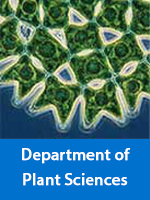Department of Plant Sciences