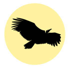 vulture