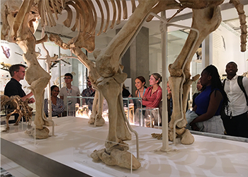 people standing around listening behind an animal skeleton at the Zoology Museum