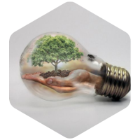 hands holding tree inside light bulb with fly on top