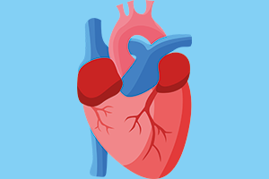 illustration of the heart with blue background