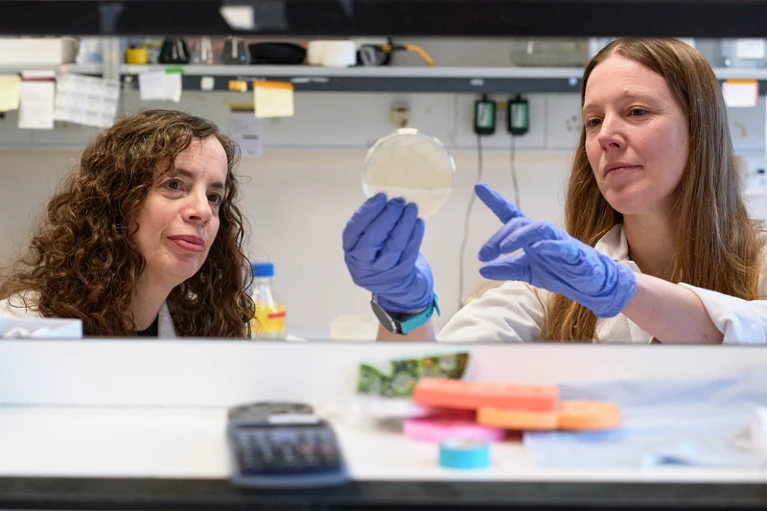 Women in gloves holding a petri dish