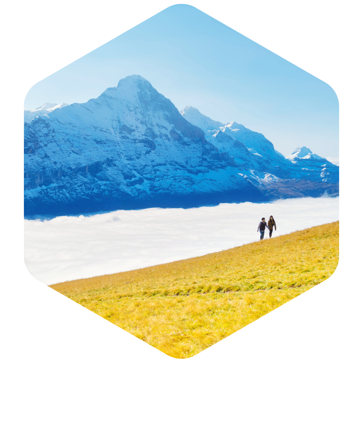 people walking in yellow hill with snowy mountain in the background