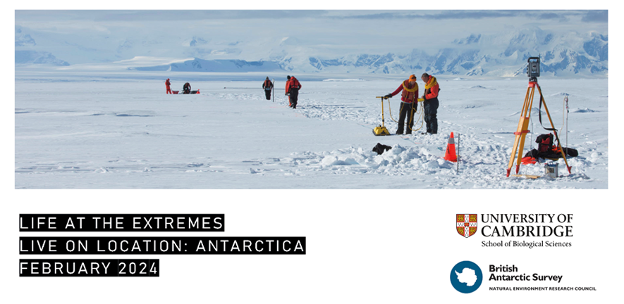 people walking in snow in Antarctica