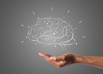 hand holding illustration of human brain on a grey background