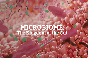 illustration of the gut