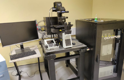 microscope Olympus FV3000 confocal