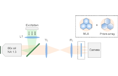 diagram of vortex light field microscopy