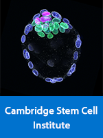 Cambridge Stem Cell Institute