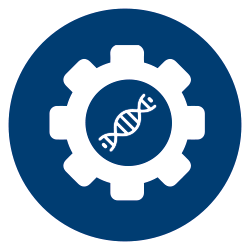 Functional and Evolutionary Genomics