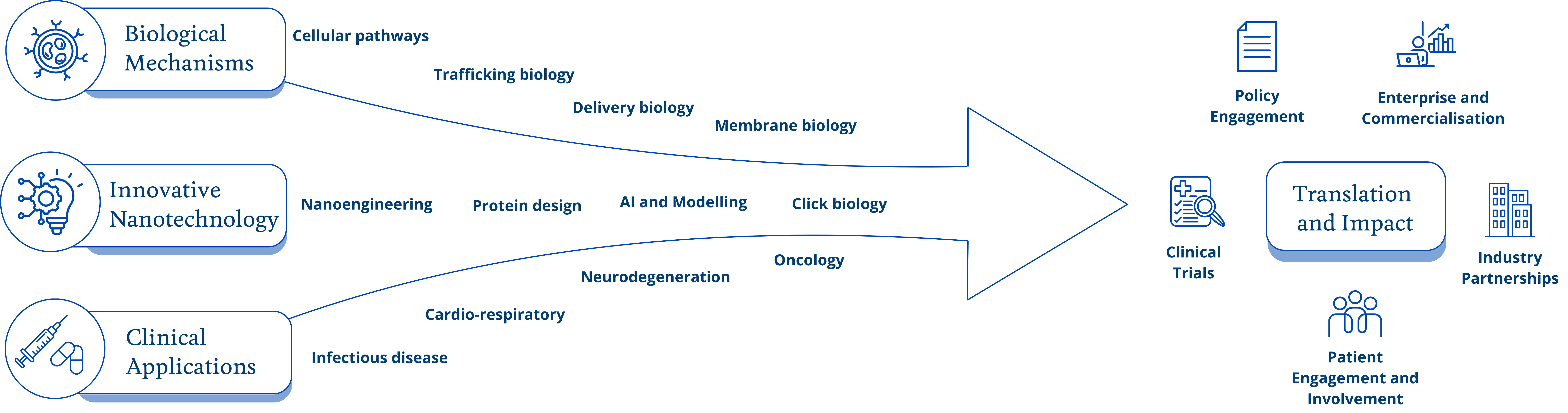diagram of nanomedicine research. Description in the body of the text