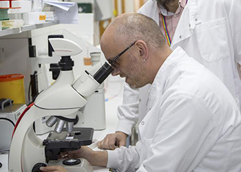 Dr James Dooley, a senior author of the study, in the laboratory Credit: Louisa Wood/ Babraham Institute Dr James Dooley, a senior author of the study, in the laboratory Credit: Louisa Wood/ Babraham Institute