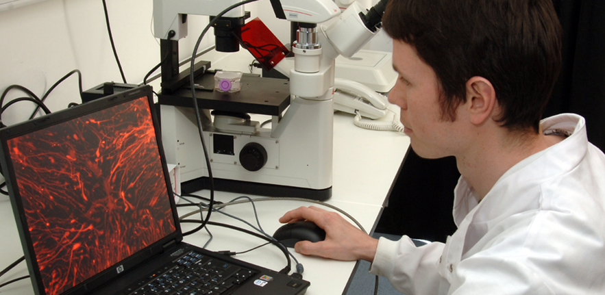 microscope research