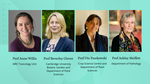 Portraits of the 4 new Fellows