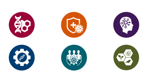 Research themes icons