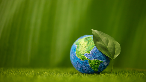 globe with leaf on green background