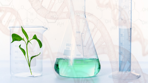 test tube and recipient with plant; DNA background