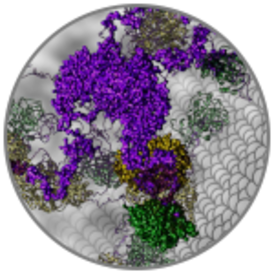 scientific image