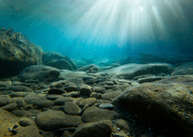 rocks at the bottom of the sea