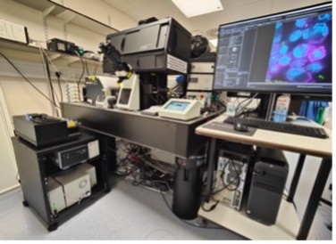 Evident SpinSR microscope