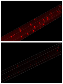 Light sheet microscopy image deconvolution 