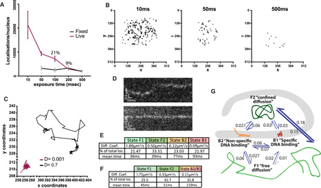 Single particle tracking