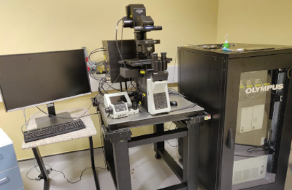 microscope Olympus FV3000 confocal