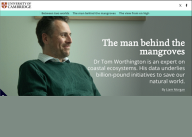 Tom Worthington in profile