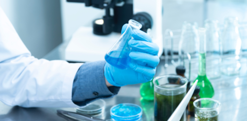 Person Holding Laboratory Flask