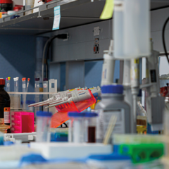 laboratory bench