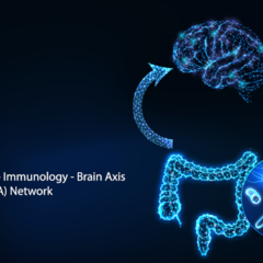 Illustration of gut and brain connections