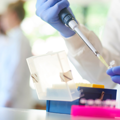 researcher sitting at a lab bench using a pipette to transfer samples