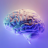 illustration of human brain. Credit: Milad Fakurian on Unsplash