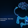Illustration of gut and brain connections