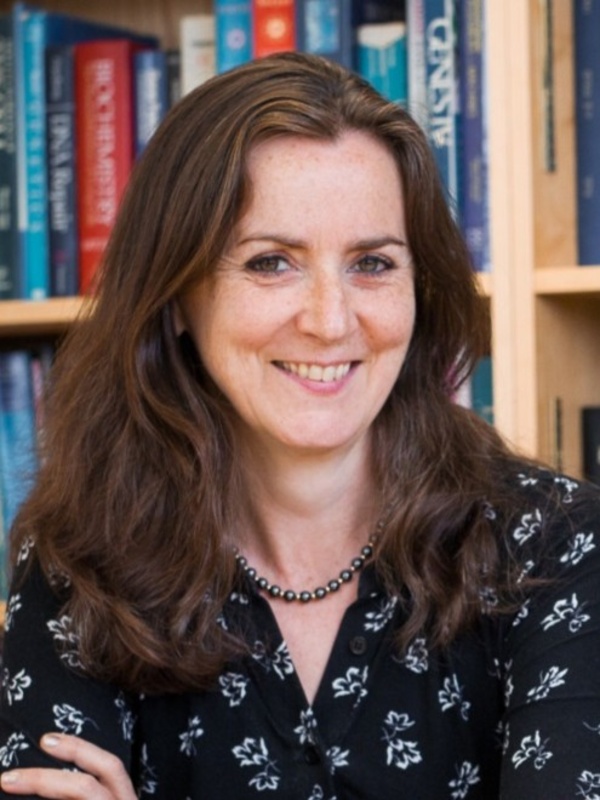  Anne Willis OBE