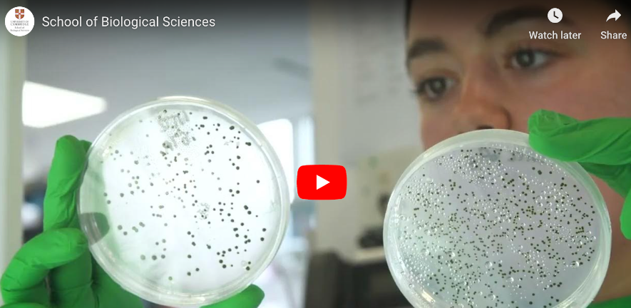 Woman scientist holding and looking at a petri dish