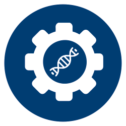 Functional and Evolutionary Genomics