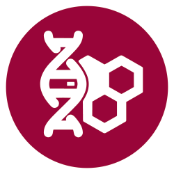 Molecules and Cells: The Building Blocks of Life