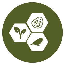 Organisms, Evolution and Ecology