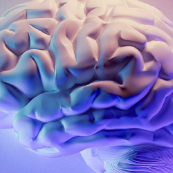 illustration of human brain. Credit: Milad Fakurian on Unsplash