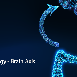 Illustration of gut and brain connections