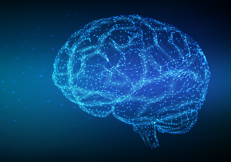computer artwork of brain network