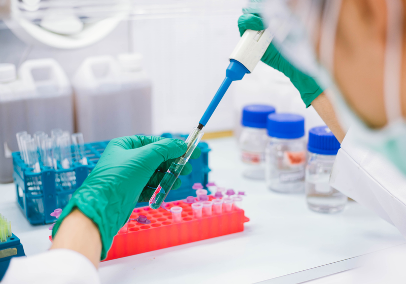 close up scientist using pipette transfer sample to tube for PCR test
