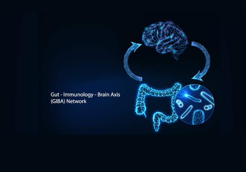 illustration of bacteria in the gut linking to the brain