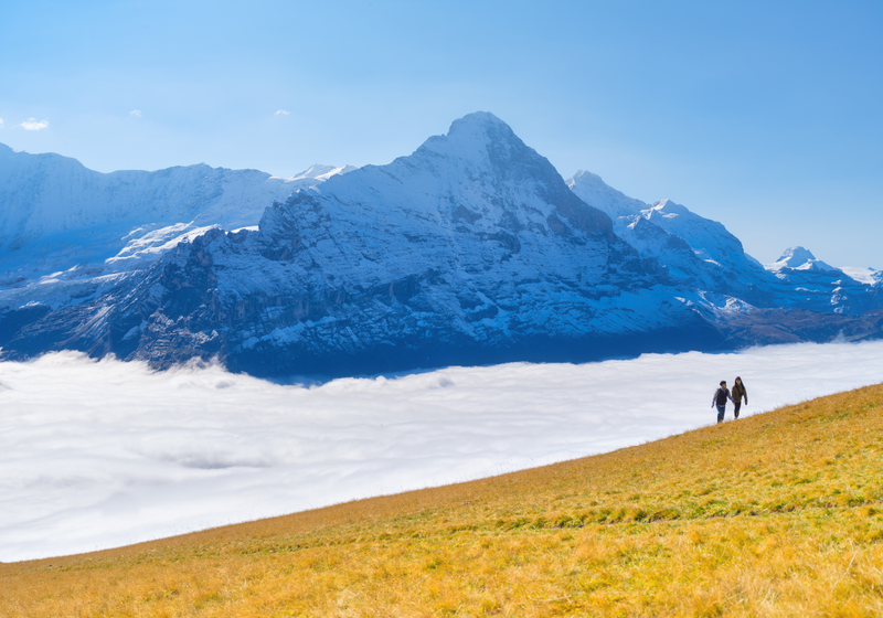 two people standing in a field with snowy mountains in the background