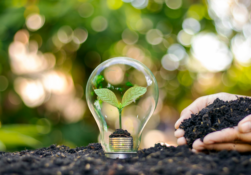 lightbulb on top of soil with plant inside