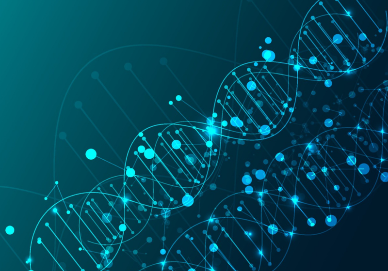 Graphic of DNA and network overlaid