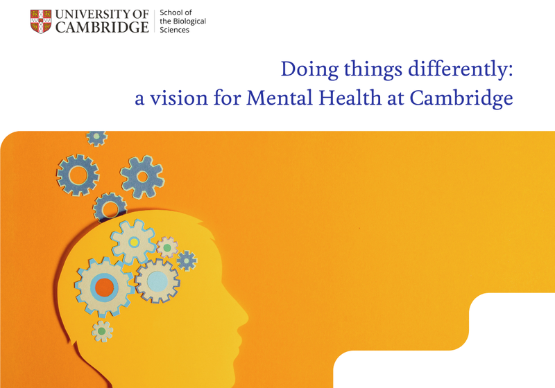 cover of Mental Health Research vision document with an illustration of human head and brain