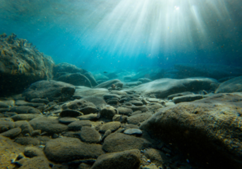 rocks at the bottom of the sea